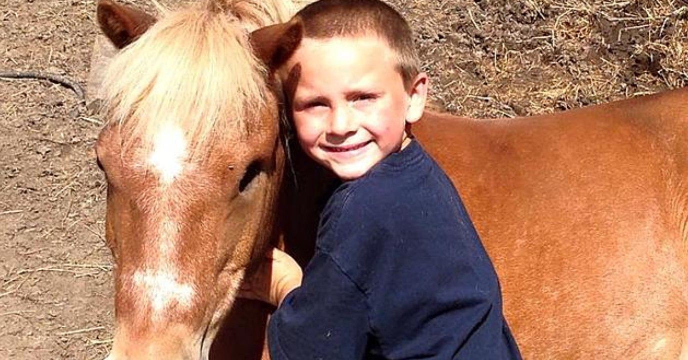 Als er vom Schicksal von Pony Max hört, greift ein Fünfjähriger ein