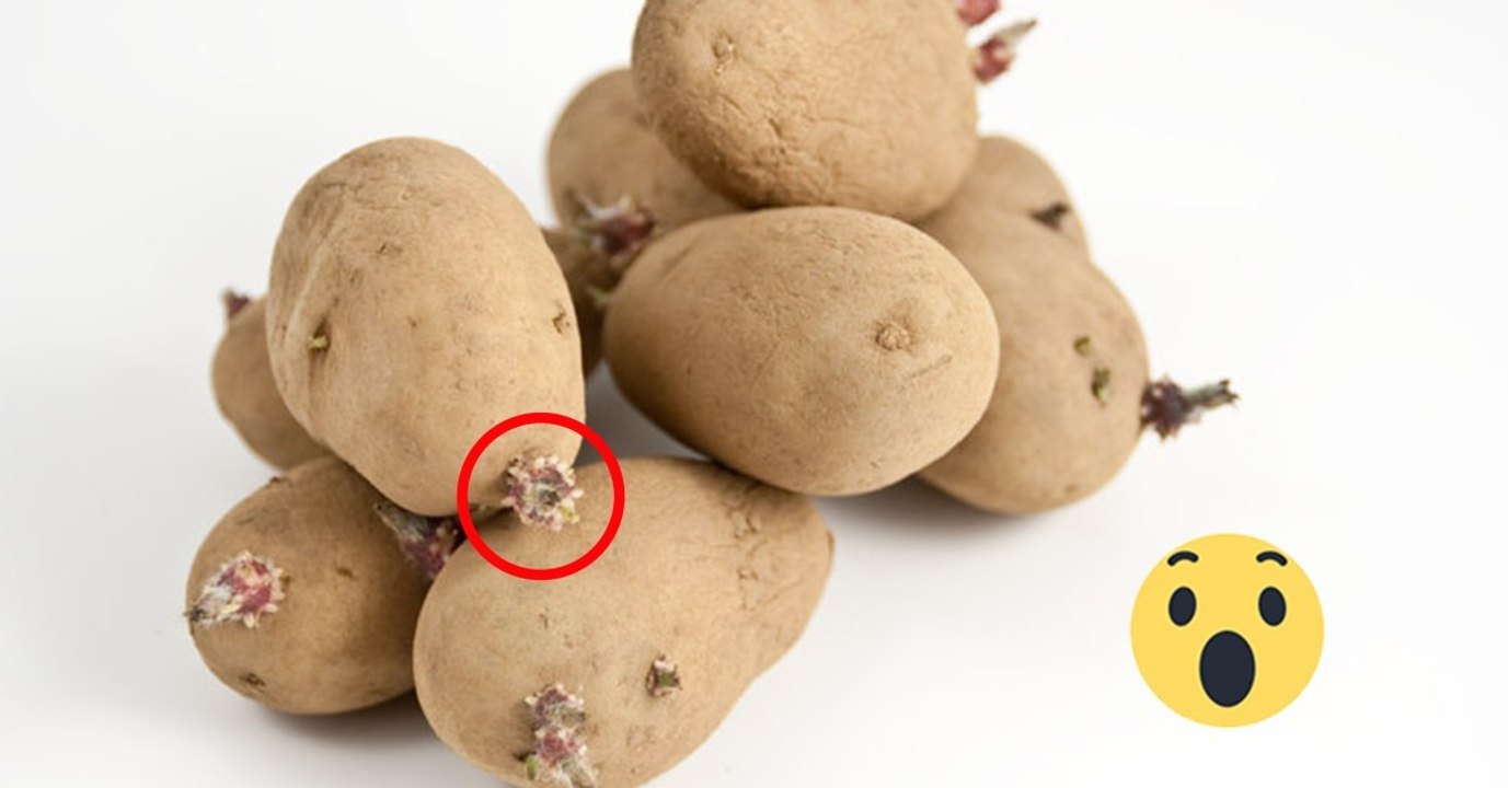 Keimen von Kartoffeln verhindern: Leg einen Apfel dazu