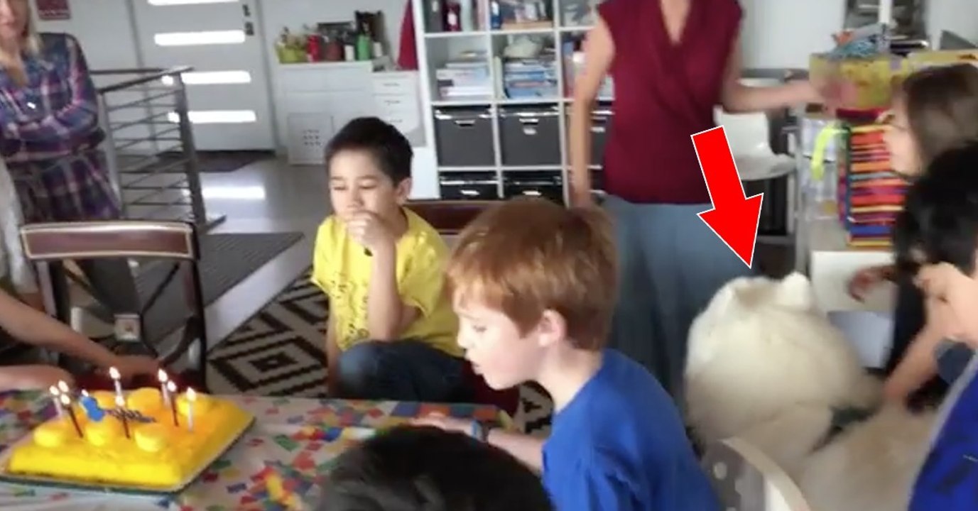 Sie singen ihm zum Geburtstag ein Ständchen. Die Reaktion des Hundes ist wirklich einmalig!