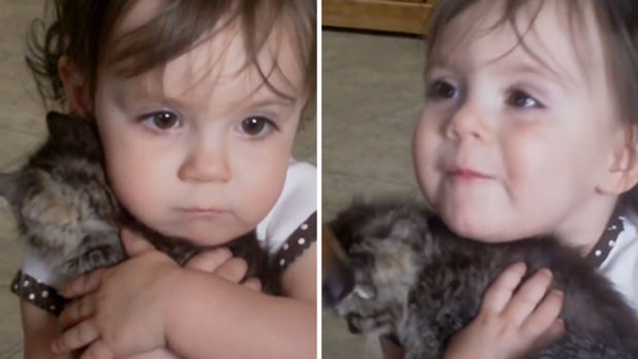 Dieses kleine Mädchen hat einen ausgeprägten Beschützerinstinkt für sein Kätzchen