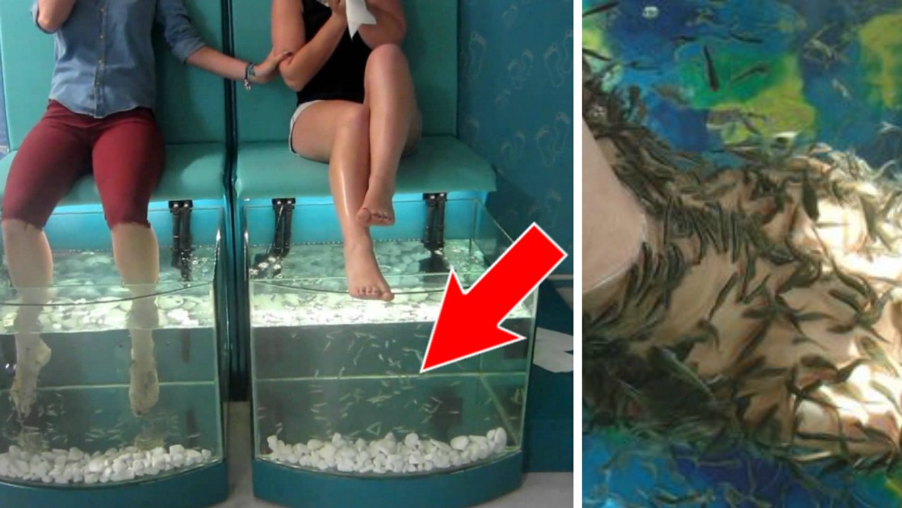 Fisch-Pediküre: Hier ist der Hauptgrund, warum diese Behandlung gefährlich sein kann