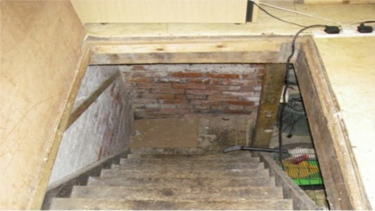 Grausam, was sich bei diesem Tierarzt unter einer Falltür im Keller verbirgt!