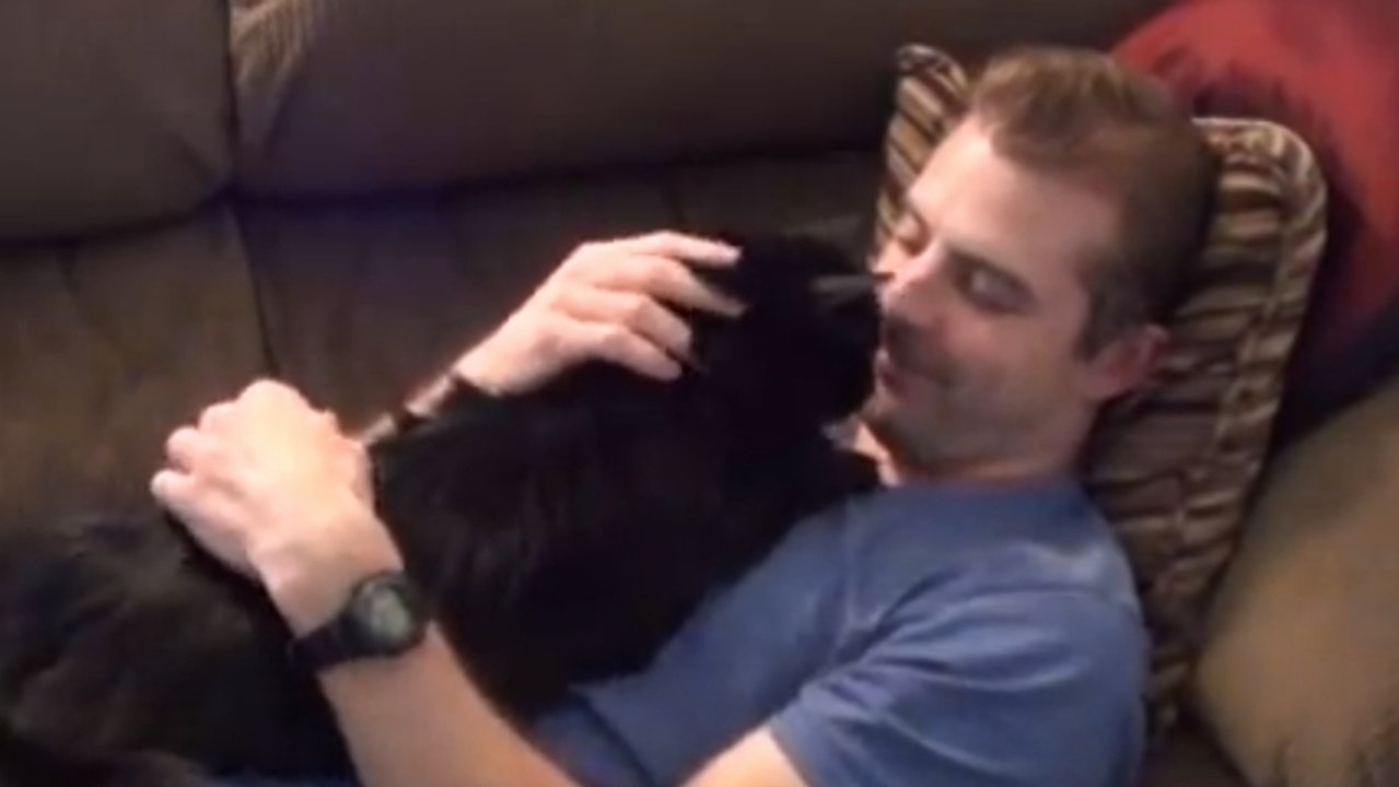 Diese Katzen wissen, wie man sein Herrchen lieben muss … Endlich dankbare Katzen!