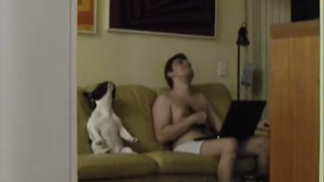 Ein Hund und sein Herrchen tanzen zu Rap-Musik. Und sie haben auf jeden Fall den Grove!