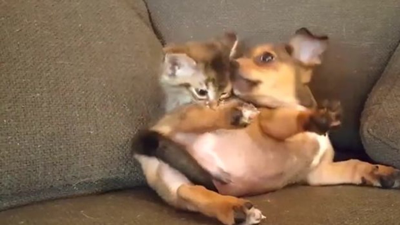 Diese Zwei verstehen sich prächtig