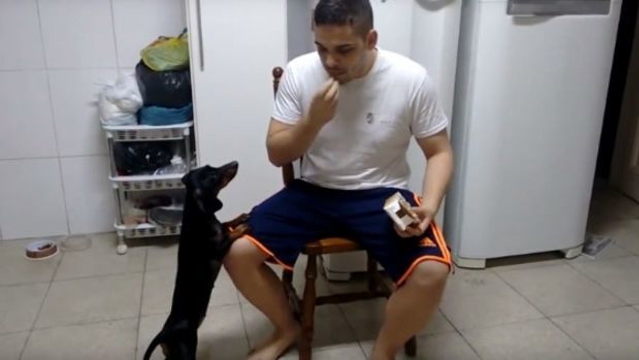 Er hat einen sicheren trick, damit sein hund seine medikamente schluckt