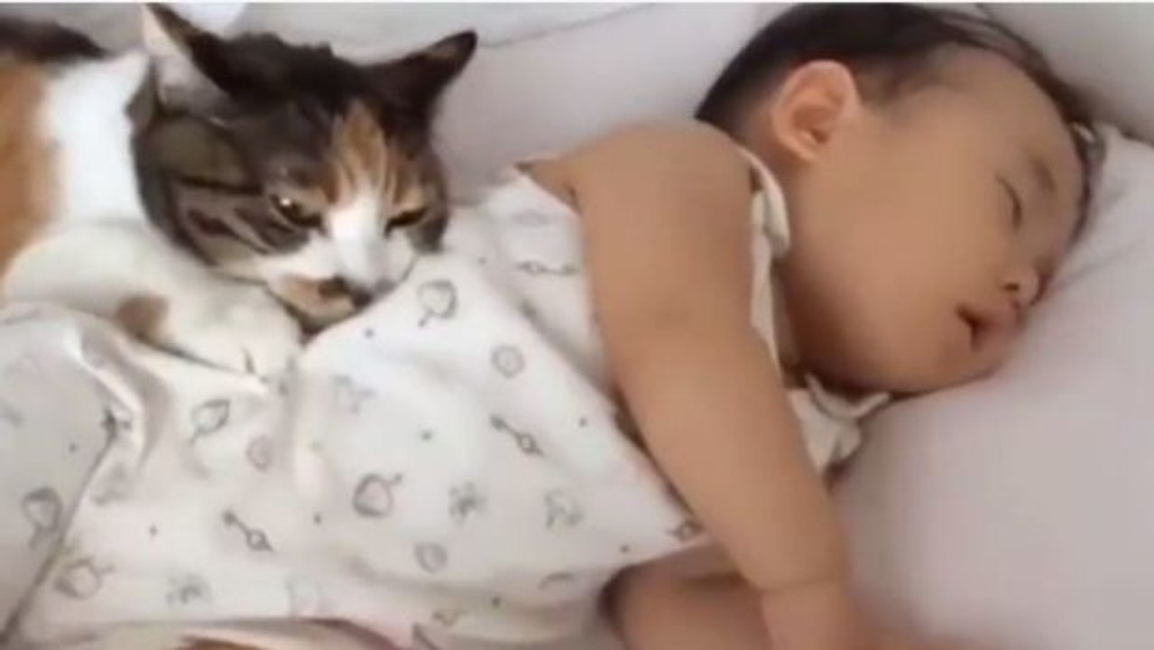 Diese rührende Freundschaft geht unter die Haut