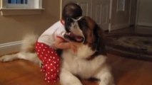 Ein kleines Mädchen und der Hund seiner Großeltern sind hier ein Herz und eine Seele