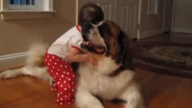 Ein kleines Mädchen und der Hund seiner Großeltern sind hier ein Herz und eine Seele