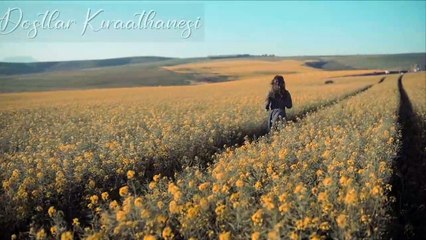 Eylülün Sarı Saçları , Ekimin İnatçı Hüznü , Kasım Yağmurlarında