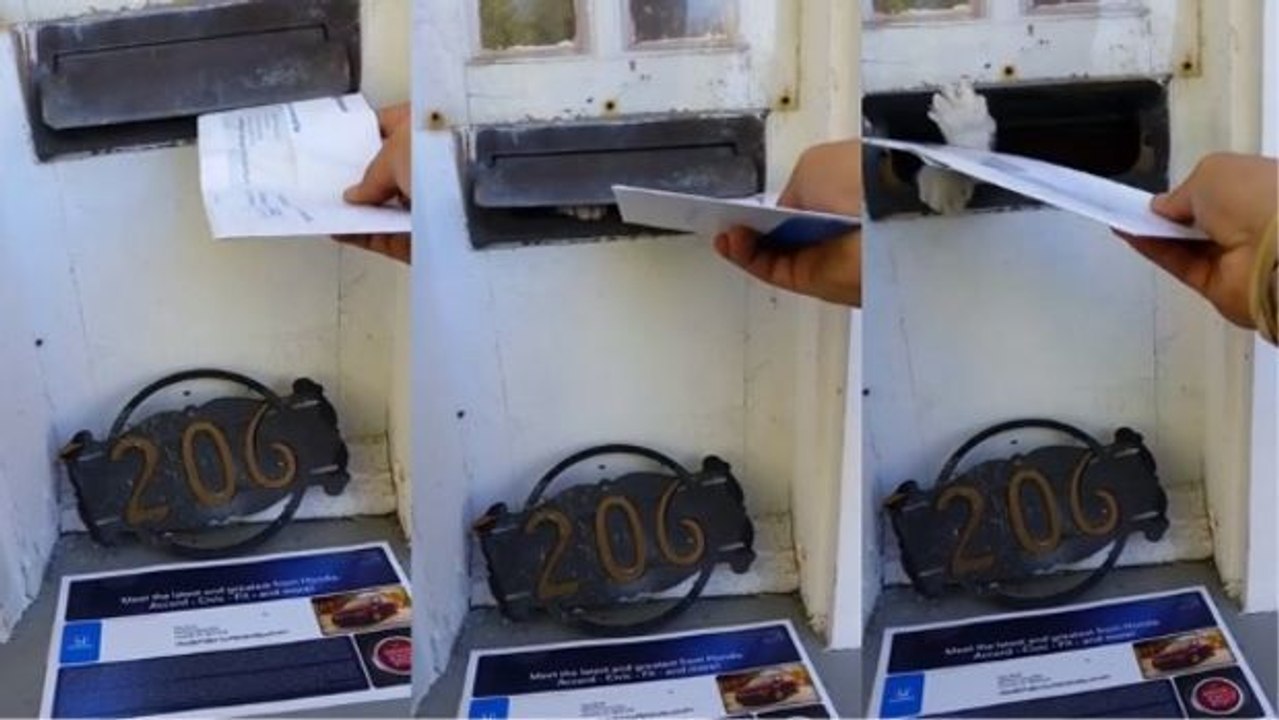 Eine Katze schützt ihren Briefkasten und hindert den Briefträger daran, seine Arbeit zu machen