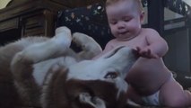 Ein Hund und ein Baby spielen zusammen