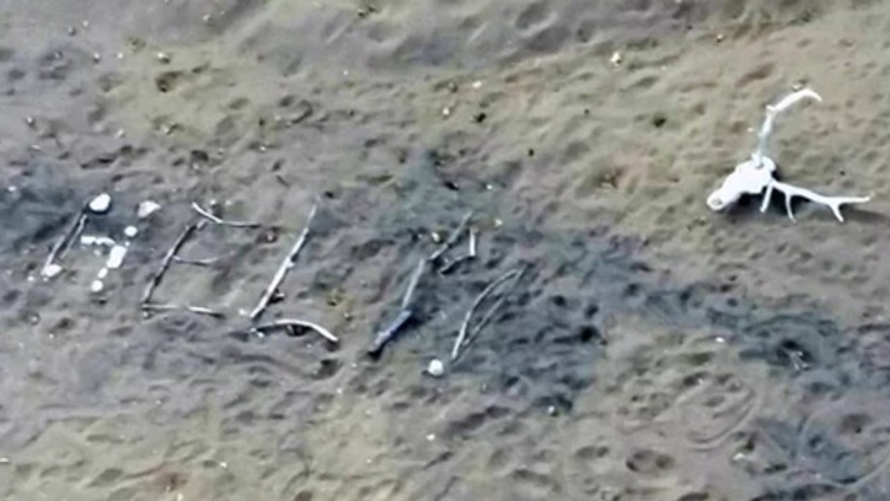 Wie diese Zweiundsiebzigjährige und ihr Hund überlebt haben, grenzt an ein Wunder