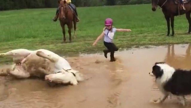 Dieses Poney beschließt ganz plötzlich, ein Bad zu nehmen. Eine nasse Überraschung für seine kleine Reiterin!
