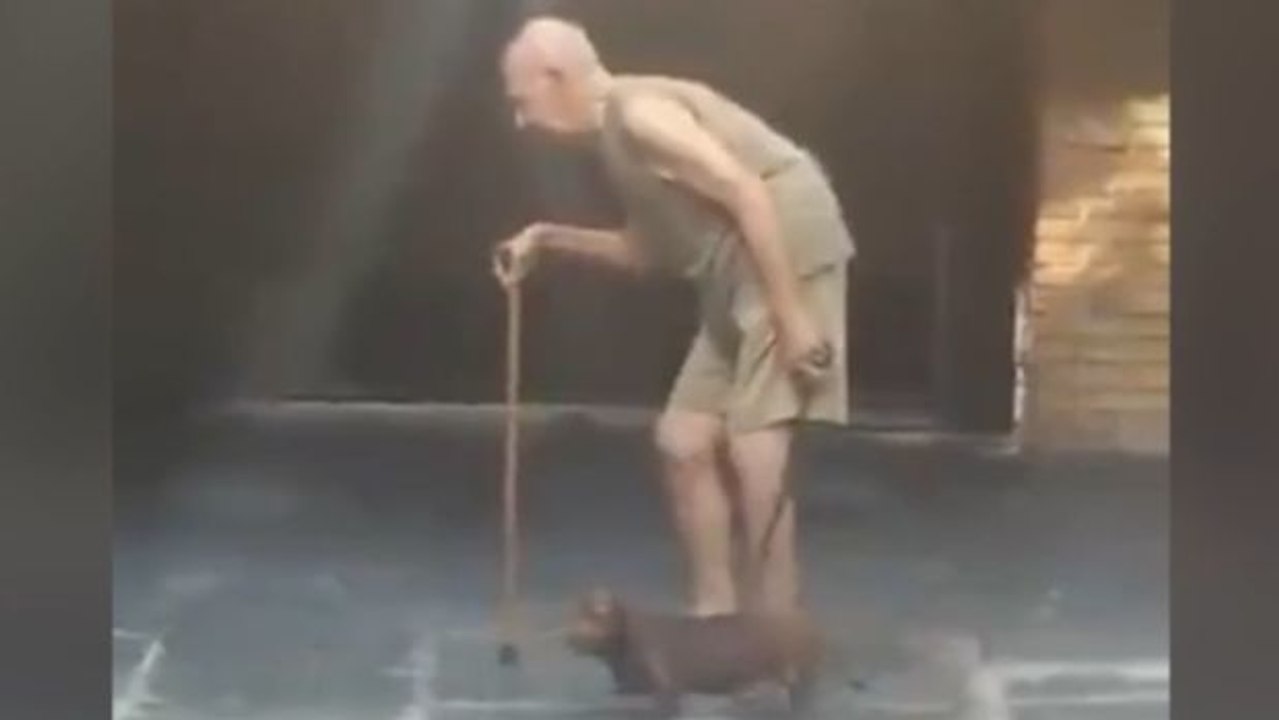 Was dieser Hund für sein Herrchen macht ist ein rührender Beweis seiner Liebe