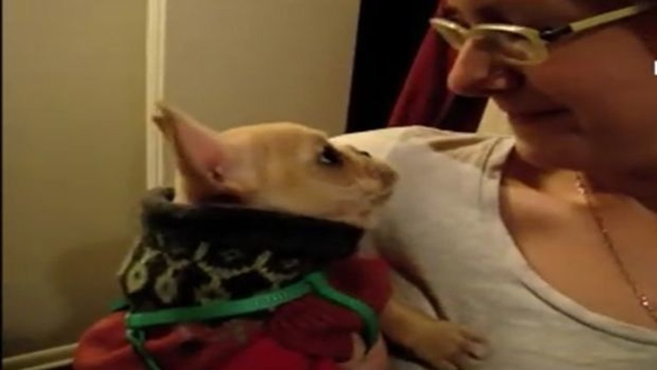 Sie sagt ihrem Hund "Ich liebe dich!" und bekommt eine geniale Reaktion!