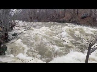 Flooding after 41.6mm of Rain, Waterford River, Newfoundland