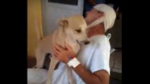 Unglaubliche Treue: Dieser Hund wartet geduldig vor dem Krankenhaus, bis sein Herr wieder herauskommt