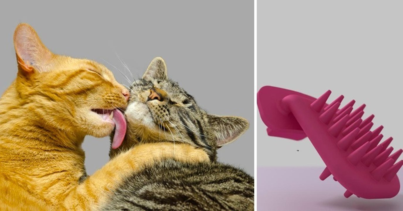 Und wenn ihr ausnahmsweise mal eure Katze ablecken würdet?