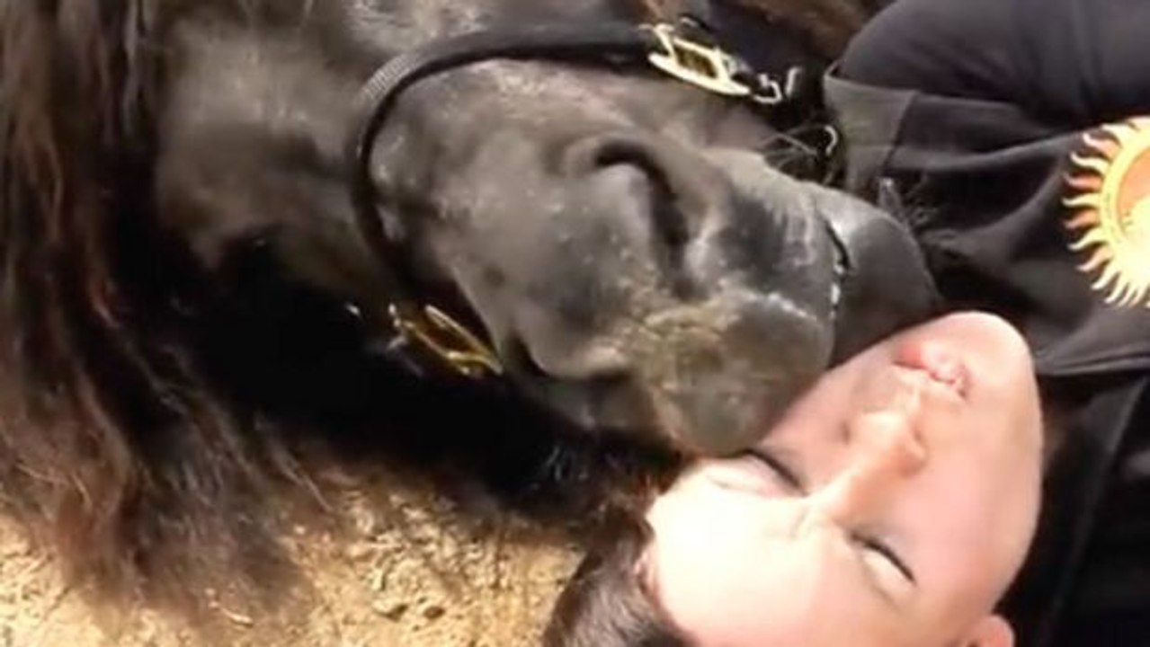 Diese Frau verbindet sehr viel mit ihren Pferden... Sie ist eine wahre Pferdeflüsterin