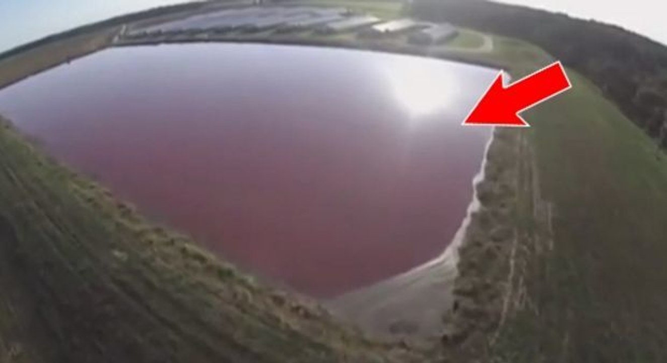 Mit Hilfe einer Drohne filmte er die schockierende Wirklichkeit einer Massenaufzucht