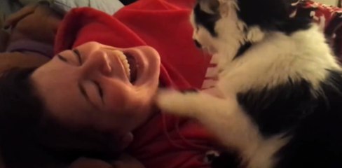 Download Video: Diese Katze reagiert, wenn ihre Besitzerin falsch singt... Und versucht alles, sie daran zu hindern!