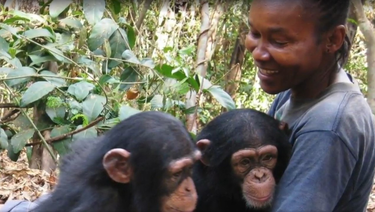 Ein Refugium würdigt eine Frau, die zur Mutter von 50 Schimpansenwaisen wurde