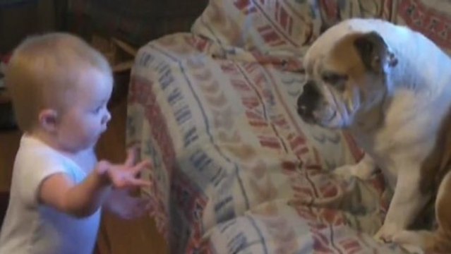 Dieses Baby ist gar nicht zufrieden mit dem Verhalten seines Hundes. Und es scheut sich nicht, ihm das auch mitzuteilen