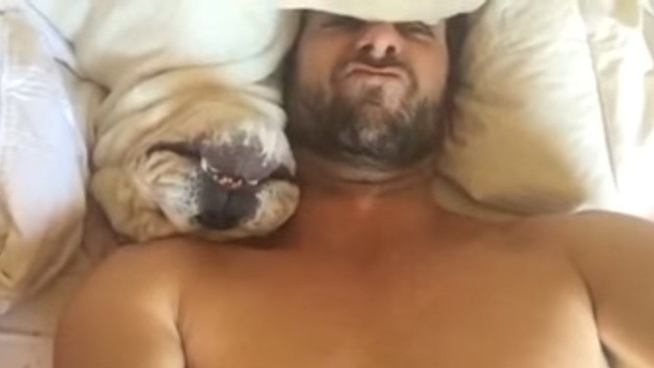 Beim Aufwachen gibt dieser Hund die komischsten Laute von sich...