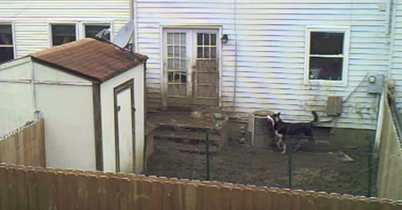 Vom Fenster aus filmt er, was sein Nachbar im Hinterhof wirklich treibt