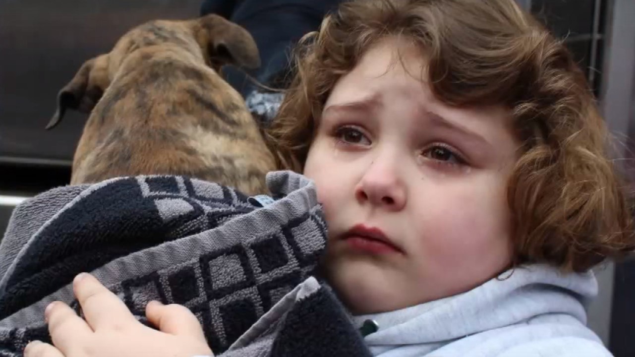 Eine siebenjährige rettet einen welpen, doch darf ihn nicht behalten... tage später kommt die Überraschung!
