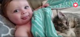 Dieses Kätzchen hat ein ideales Plätzchen für seinen Mittagsschlaf gefunden... und das Baby freut sich!