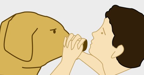 So kannst Du Deinen Hund im Notfall wiederbeleben