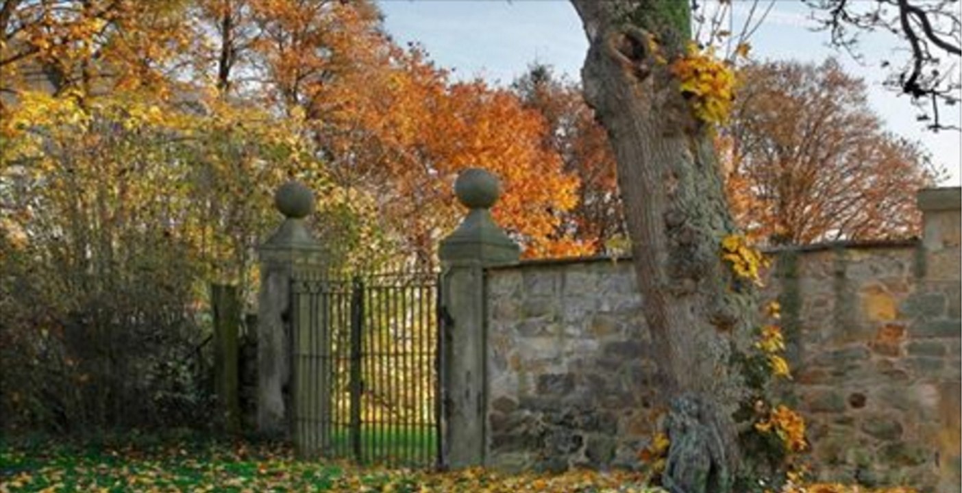 Bodypainting: Wer sieht die Frau ohne Kleidung auf diesem Bild?