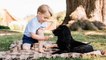 Kate Middleton und le Prinz William: Ein Foto von Prinz George und seinem Hund Lupo erregt Wellen