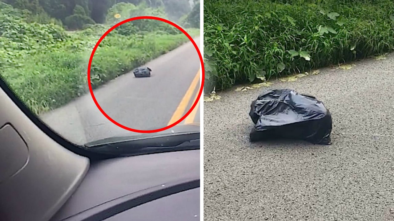Sie findet diesen Sack auf der Straße. Als er sich bewegt, nimmt sie allen ihren Mut zusammen