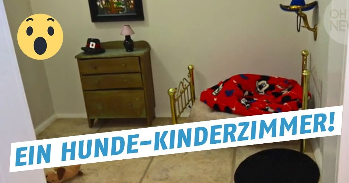 Hund bekommt ein Kinderzimmer, ein Hundekinderzimmer!