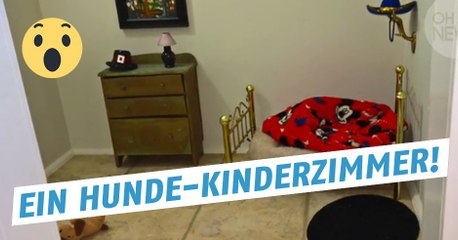 Hund bekommt ein Kinderzimmer, ein Hundekinderzimmer!