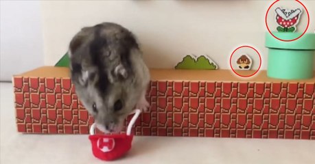 Das Super-Mario-Spiel mal anders!