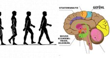 Was sich im Gehirn und im Körper abspielt, wenn man 30 Minuten zu Fuß geht