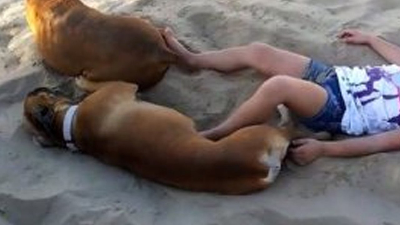 Rache ist ein Gericht, das am besten kalt serviert wird!