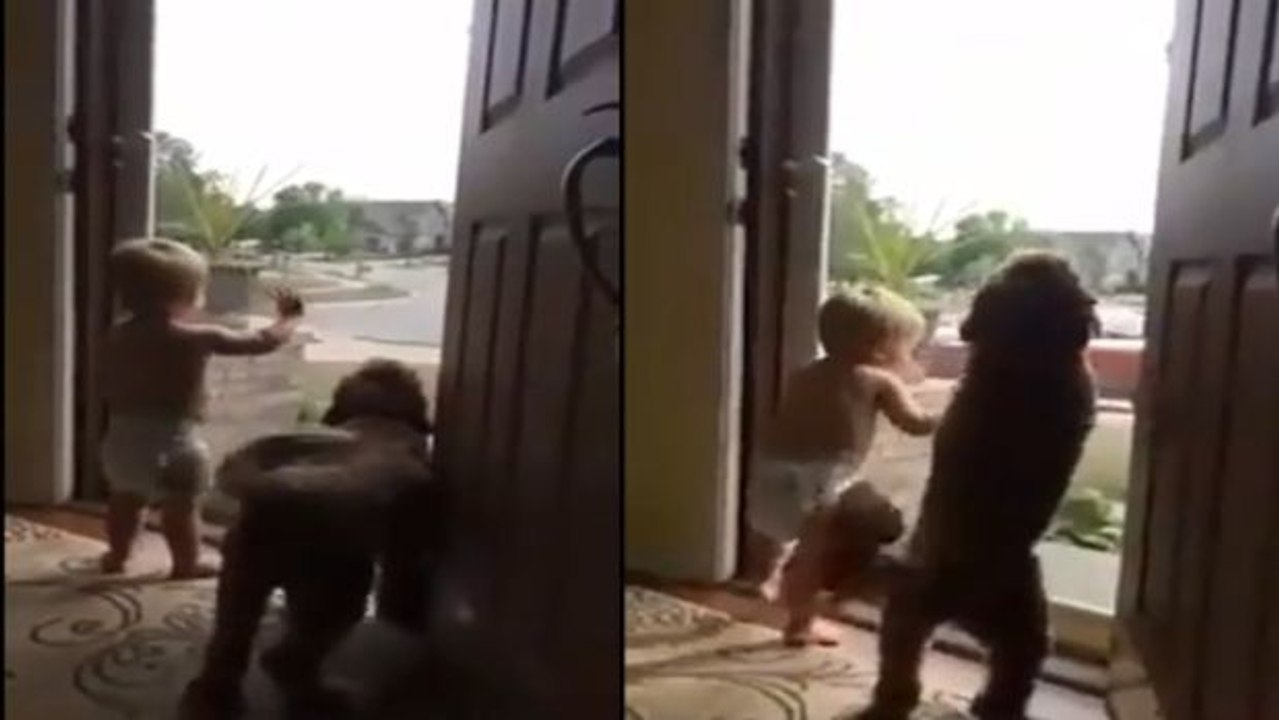 Was für ein Empfang: Wenn Papa nach Hause kommt, freuen sich alle