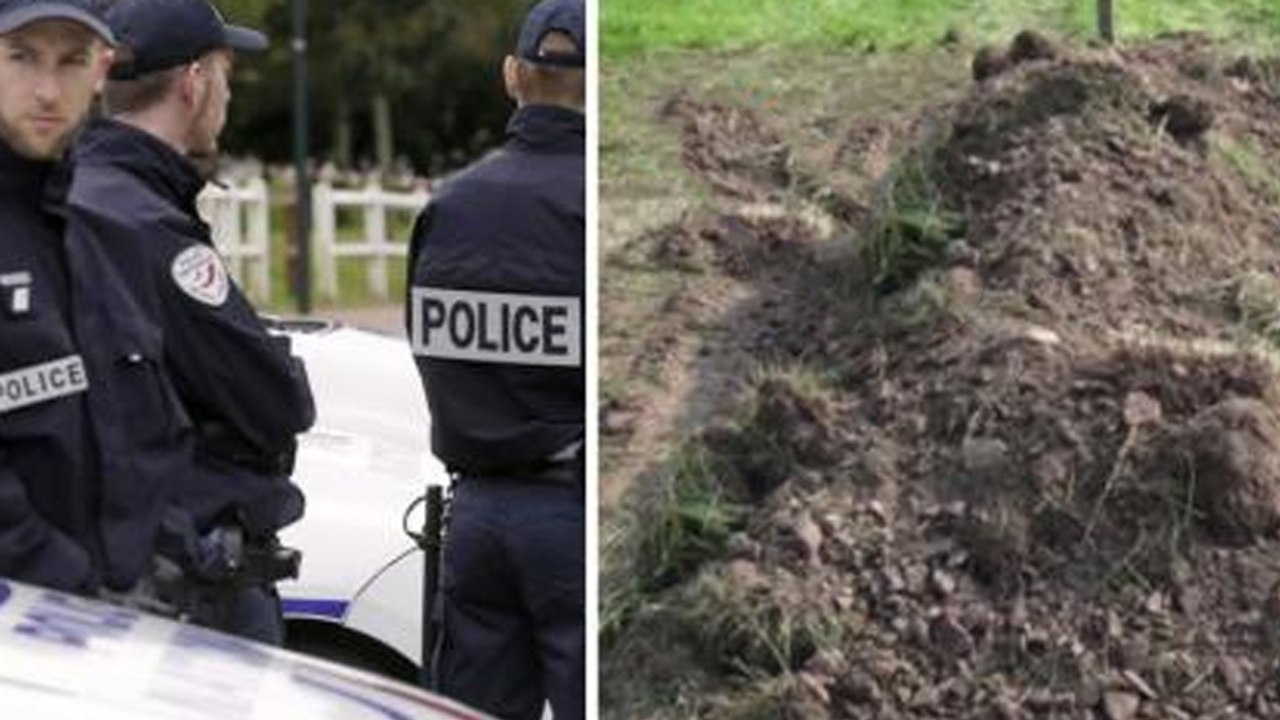 In Florida wird ein lebendig begrabener Welpe von der Polizei gerettet