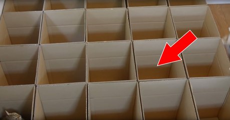 So könnt ihr eure Katze stundenlang nur mit Kartons beschäftigen!