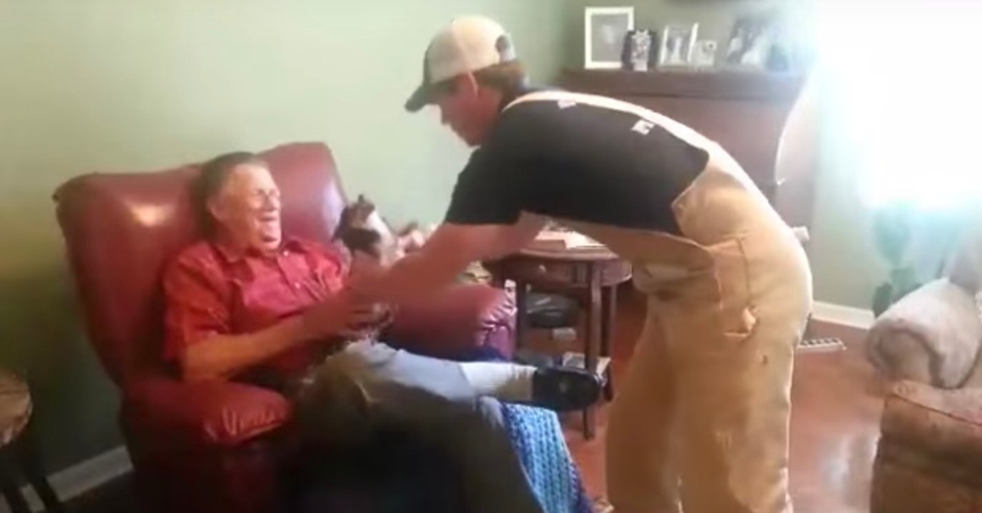 Chihuahua will mit genialem Trick dem Kuscheln entkommen!