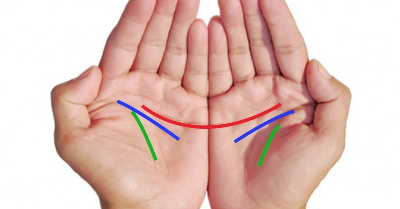 Handlesen: Was die Linien deiner Hand über dein Liebesleben aussagen