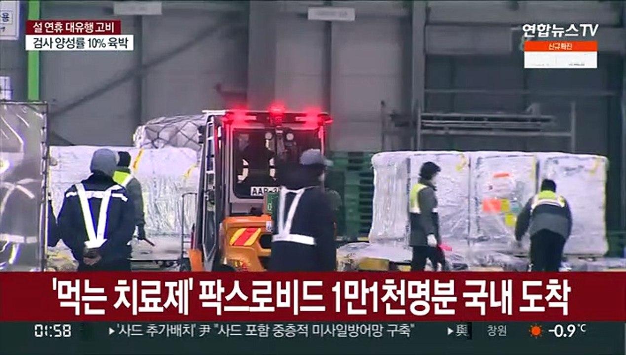 '먹는 치료제' 팍스로비드 1만1천명분 국내 도착