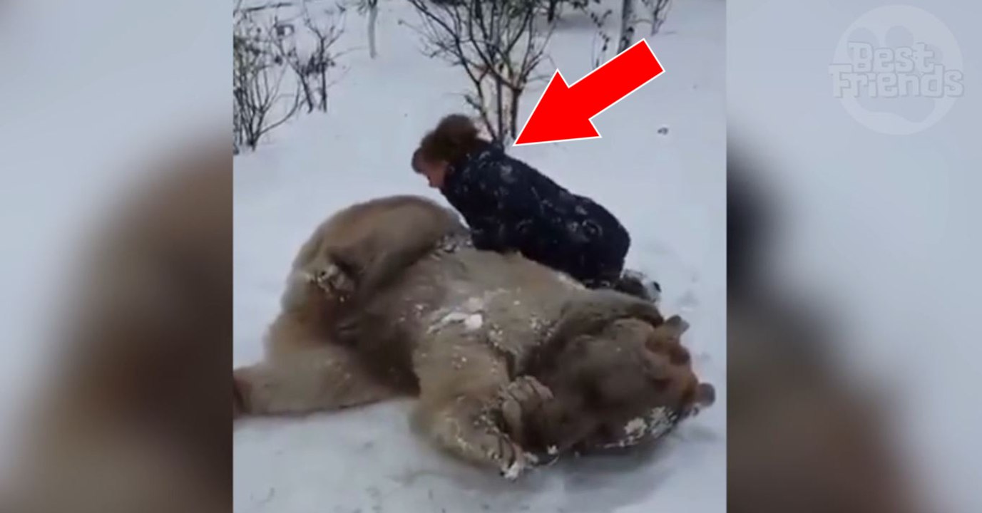 Diese Frau amüsiert sich prächtig mit dem Bären im Schnee
