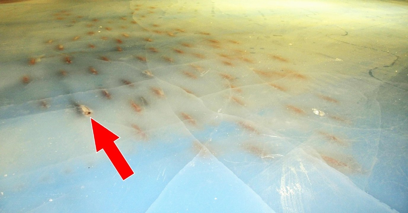 Was die Besucher dieser japanischen Eisbahn bei der Eröffnung vorfanden, wird euch schockieren!