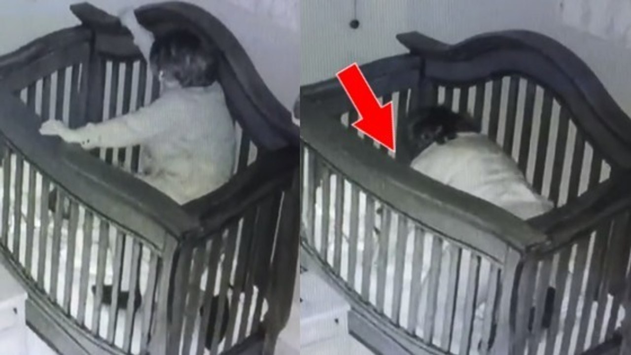 Die Oma fällt in das Kinderbett